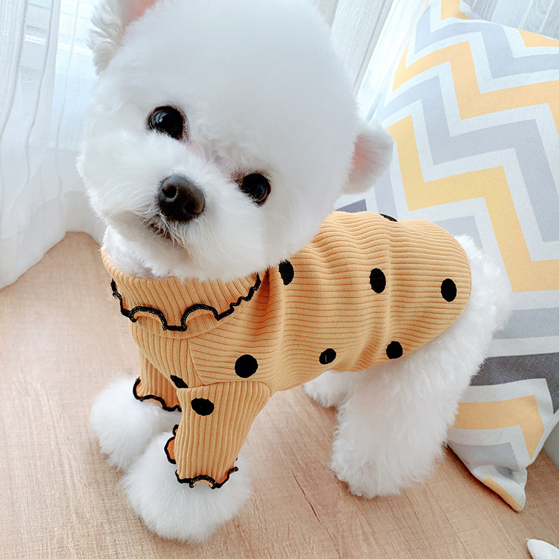 Dot turtleneck dog