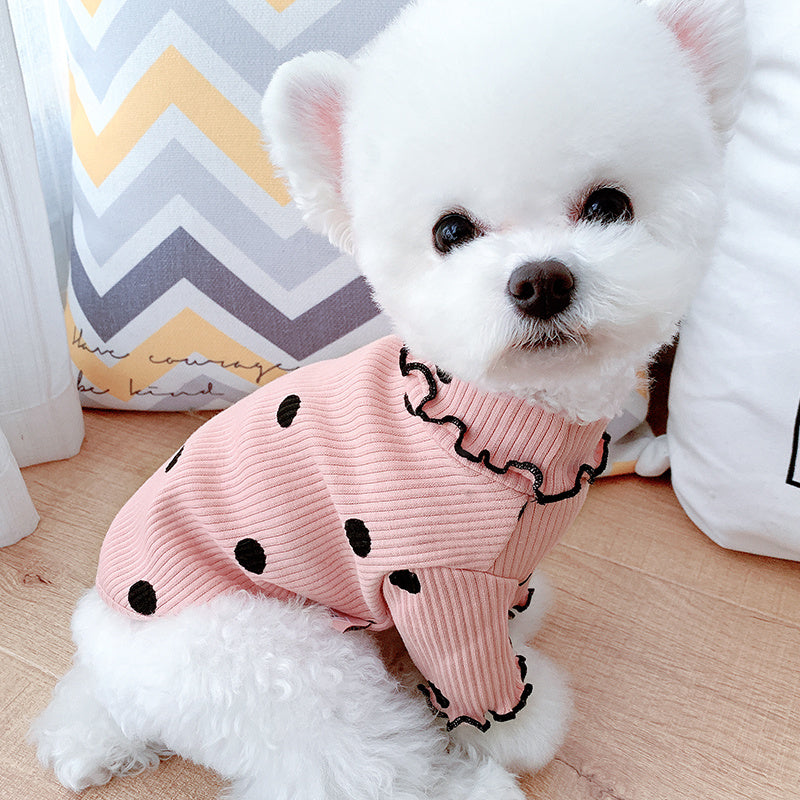 Dot turtleneck dog
