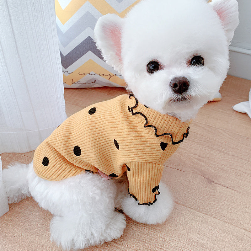Dot turtleneck dog