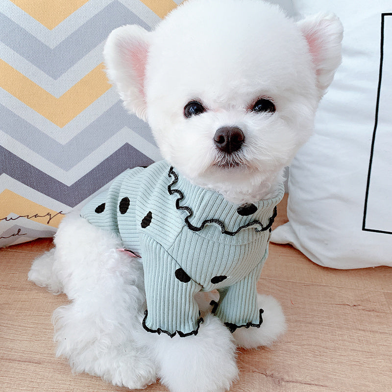 Dot turtleneck dog