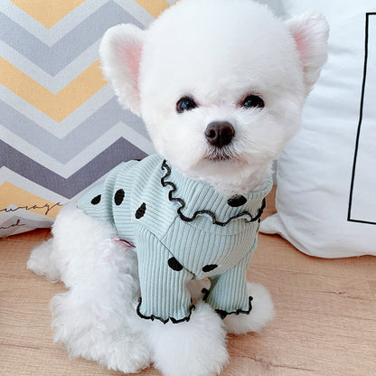 Dot turtleneck dog