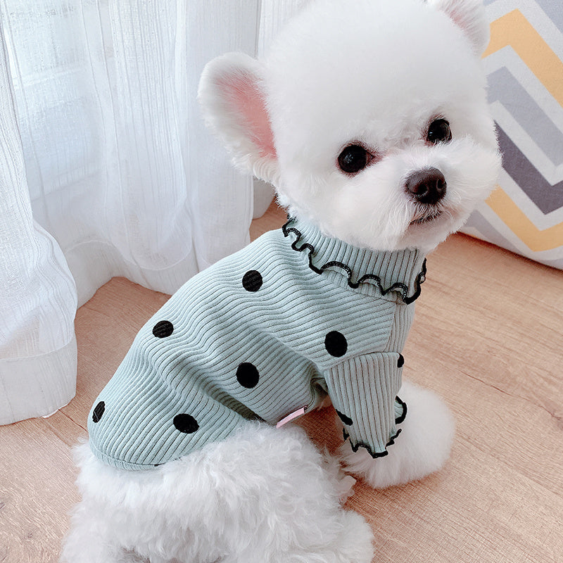 Dot turtleneck dog